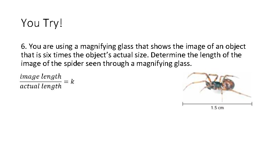 You Try! 6. You are using a magnifying glass that shows the image of