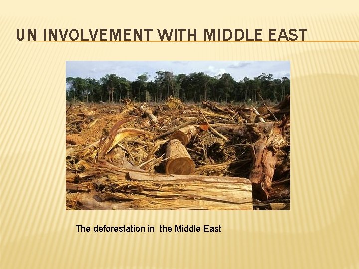 UN INVOLVEMENT WITH MIDDLE EAST The deforestation in the Middle East 