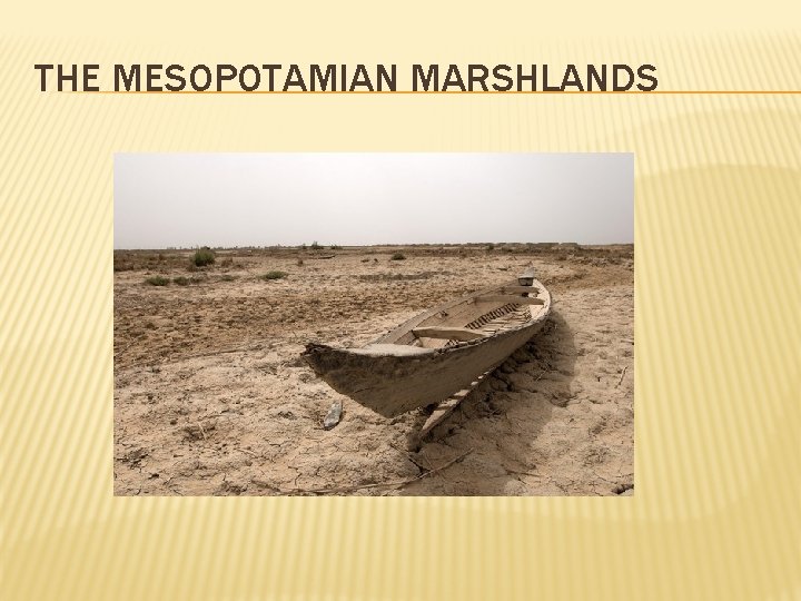 THE MESOPOTAMIAN MARSHLANDS 