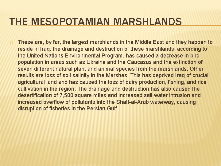 THE MESOPOTAMIAN MARSHLANDS � These are, by far, the largest marshlands in the Middle