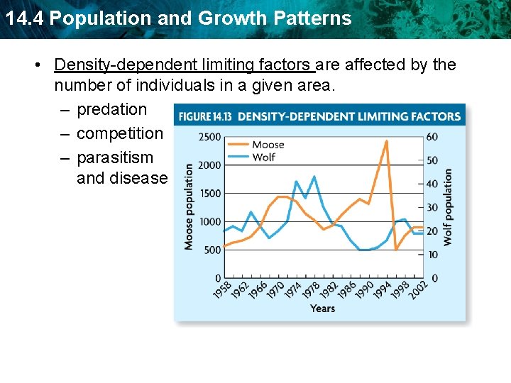 14. 4 Population and Growth Patterns • Density-dependent limiting factors are affected by the
