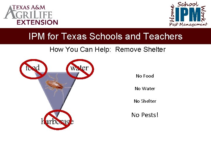 School Home Work IPM Pest Management IPM for Texas Schools and Teachers How You