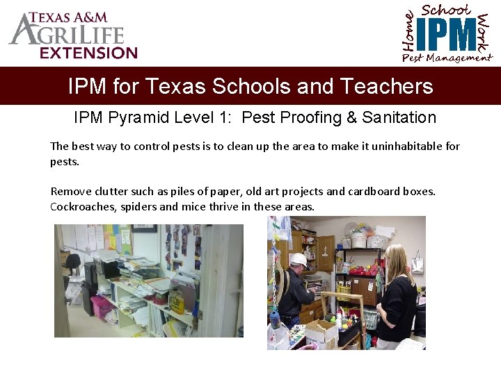 School Home Work IPM Pest Management IPM for Texas Schools and Teachers IPM Pyramid