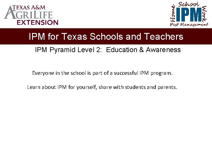 School Home Work IPM Pest Management IPM for Texas Schools and Teachers IPM Pyramid