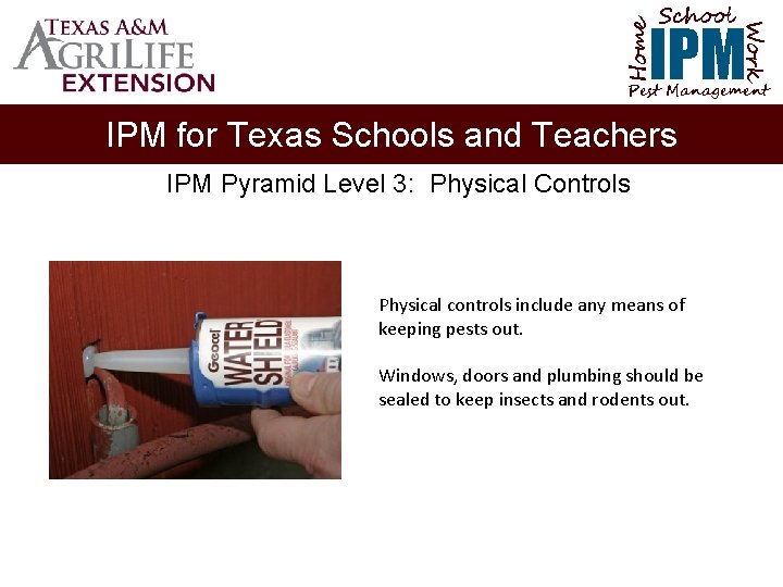 School Home Work IPM Pest Management IPM for Texas Schools and Teachers IPM Pyramid