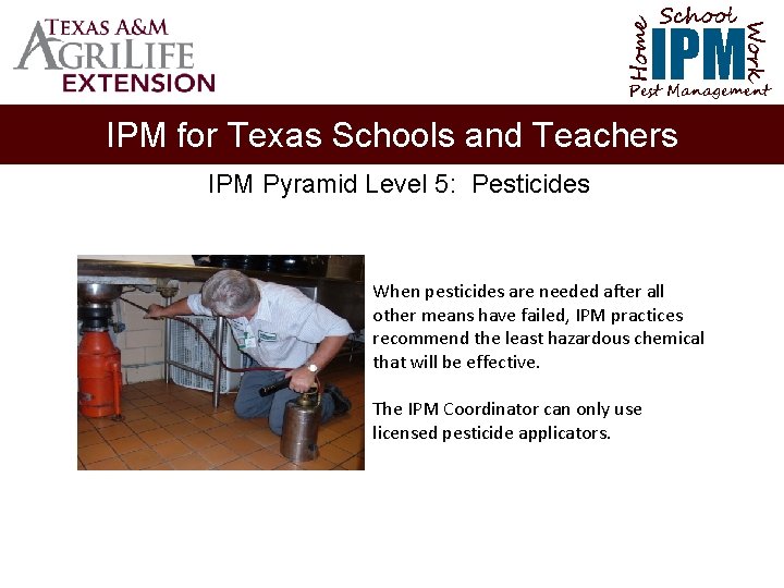 School Home Work IPM Pest Management IPM for Texas Schools and Teachers IPM Pyramid