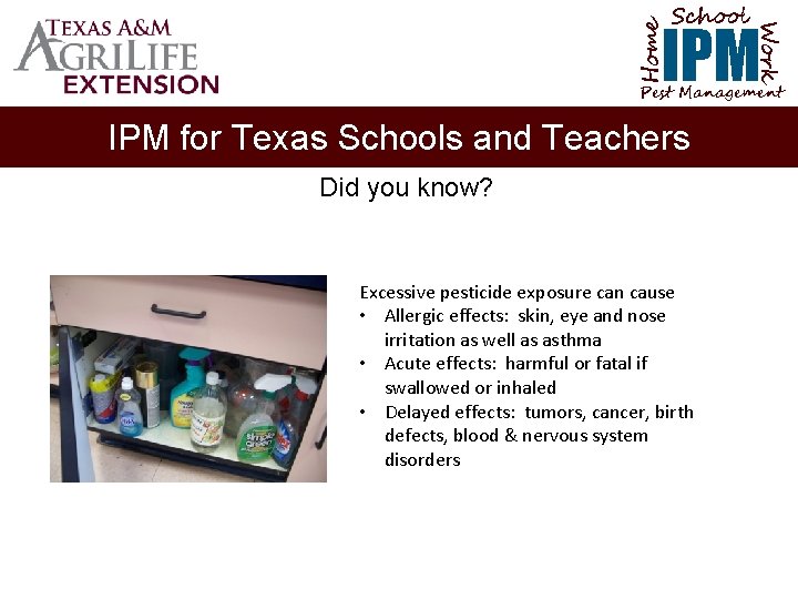 School Home Work IPM Pest Management IPM for Texas Schools and Teachers Did you