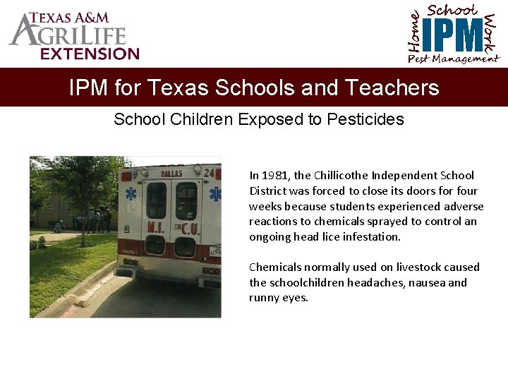 School Home Work IPM Pest Management IPM for Texas Schools and Teachers School Children