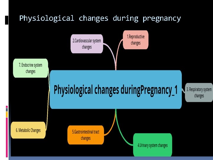 Physiological changes during pregnancy 