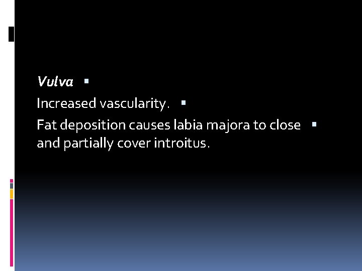 Vulva Increased vascularity. Fat deposition causes labia majora to close and partially cover introitus.