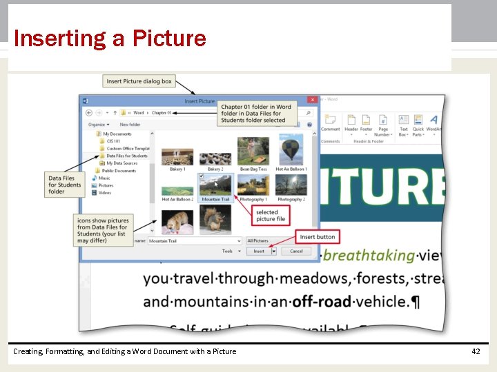Inserting a Picture Creating, Formatting, and Editing a Word Document with a Picture 42 Inserting a Picture Creating, Formatting, and Editing a Word Document with a Picture 42