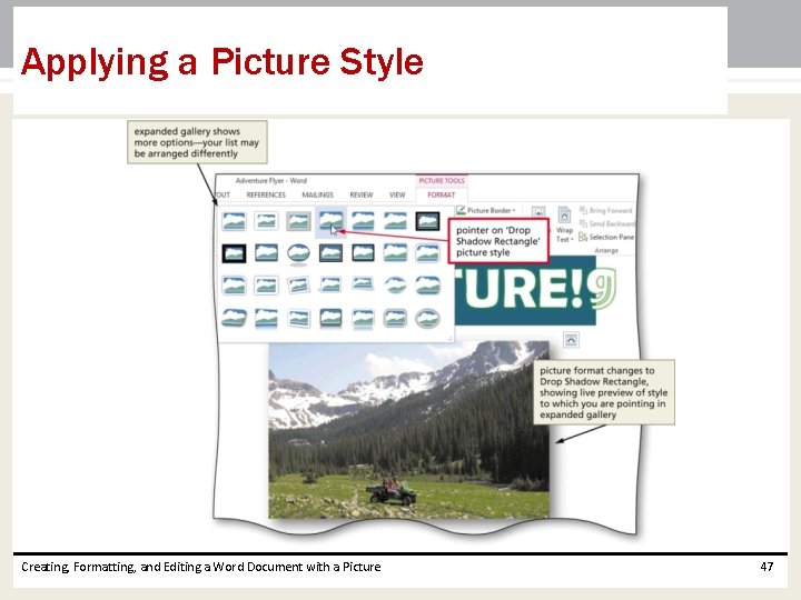 Applying a Picture Style Creating, Formatting, and Editing a Word Document with a Picture Applying a Picture Style Creating, Formatting, and Editing a Word Document with a Picture