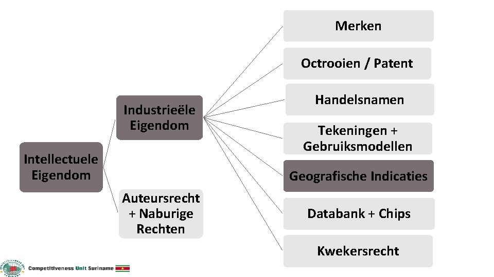 Merken Octrooien / Patent Industrieёle Eigendom Intellectuele Eigendom Handelsnamen Tekeningen + Gebruiksmodellen Geografische Indicaties