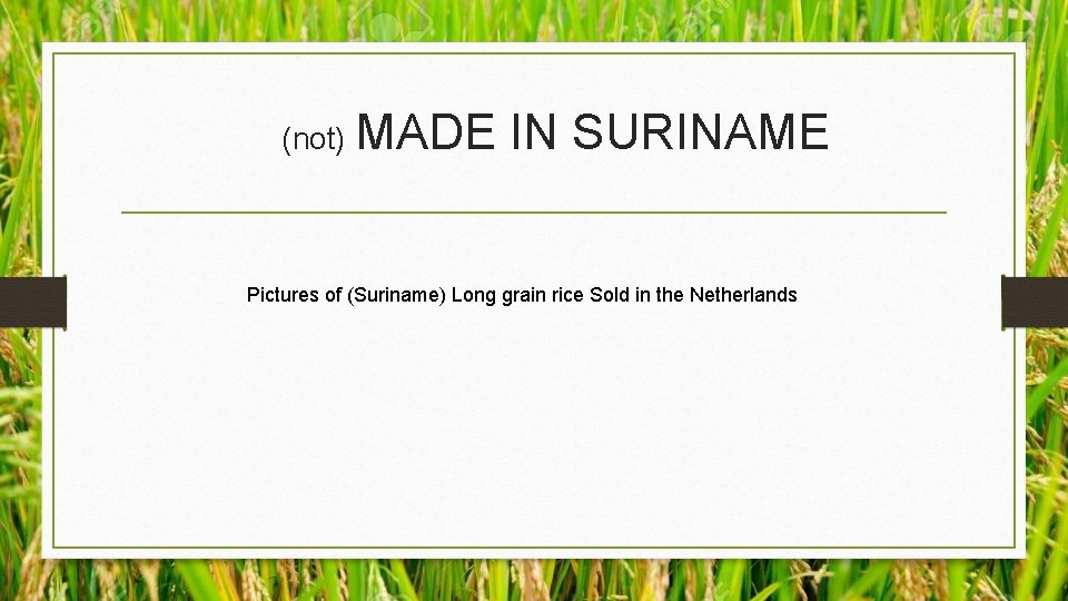 (not) MADE IN SURINAME Pictures of (Suriname) Long grain rice Sold in the Netherlands