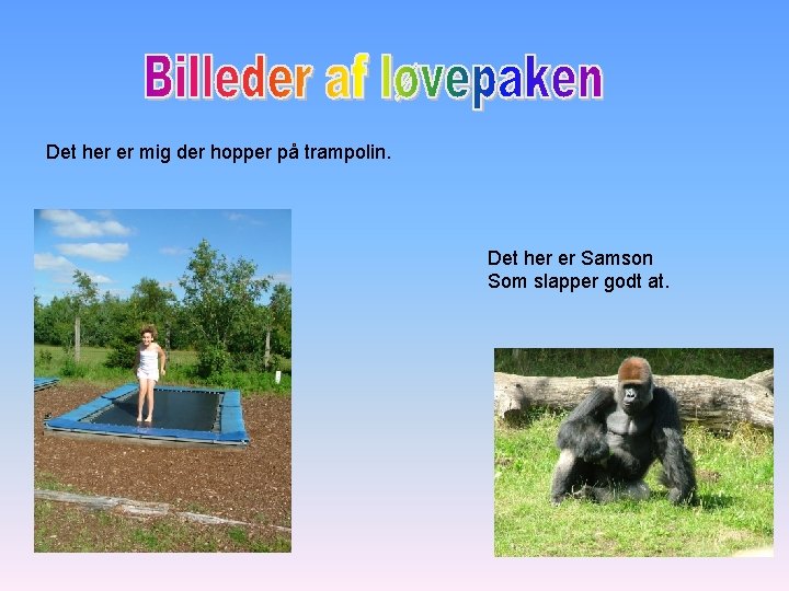 Det her er mig der hopper på trampolin. Det her er Samson Som slapper