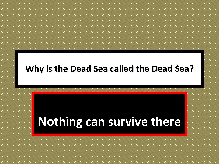 Why is the Dead Sea called the Dead Sea? Nothing can survive there 