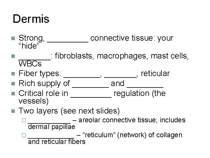 Dermis n n n Strong, _____ connective tissue: your “hide” _______: fibroblasts, macrophages, mast