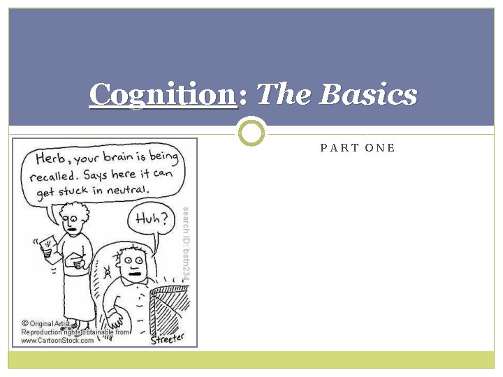 Cognition: The Basics PART ONE 