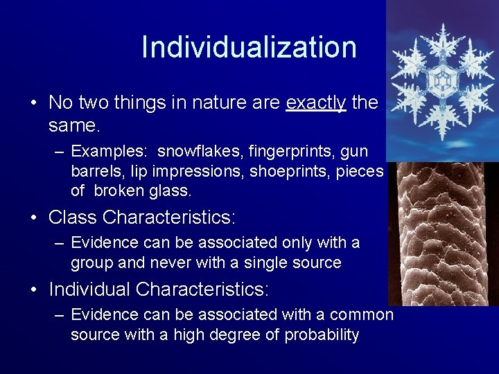 Individualization • No two things in nature are exactly the same. – Examples: snowflakes,
