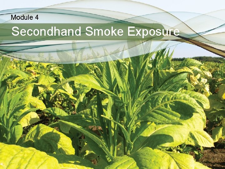 Module 4 Secondhand Smoke Exposure 