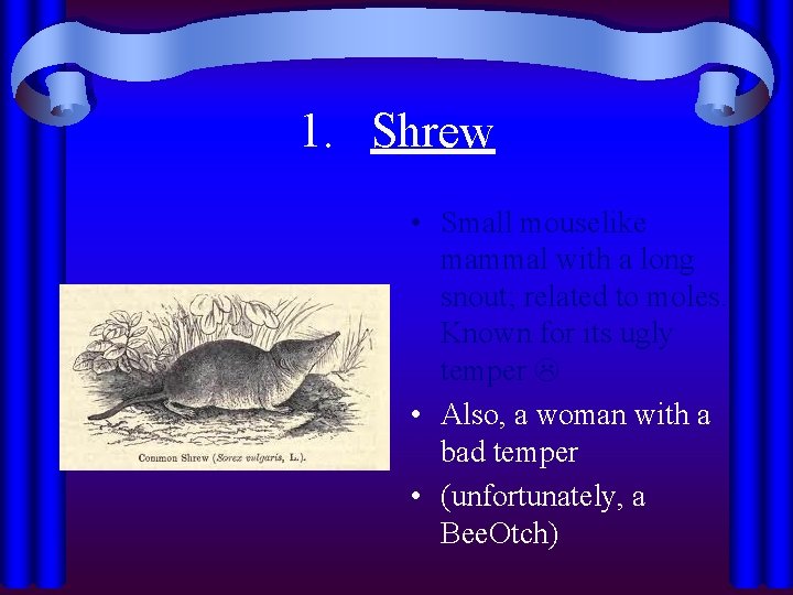 1. Shrew • Small mouselike mammal with a long snout; related to moles. Known