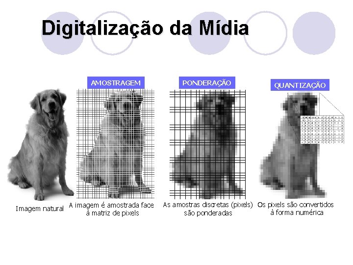 Digitalização da Mídia AMOSTRAGEM Imagem natural A imagem é amostrada face à matriz de