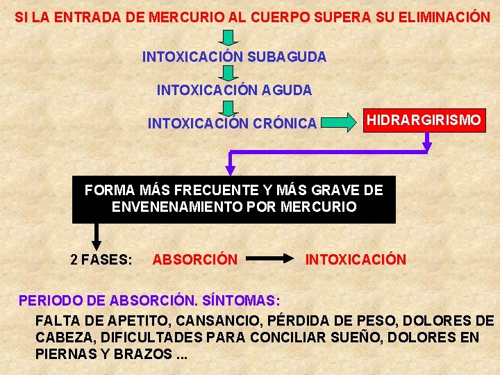 SI LA ENTRADA DE MERCURIO AL CUERPO SUPERA SU ELIMINACIÓN INTOXICACIÓN SUBAGUDA INTOXICACIÓN CRÓNICA