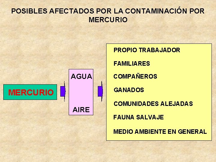 POSIBLES AFECTADOS POR LA CONTAMINACIÓN POR MERCURIO PROPIO TRABAJADOR FAMILIARES AGUA COMPAÑEROS GANADOS MERCURIO