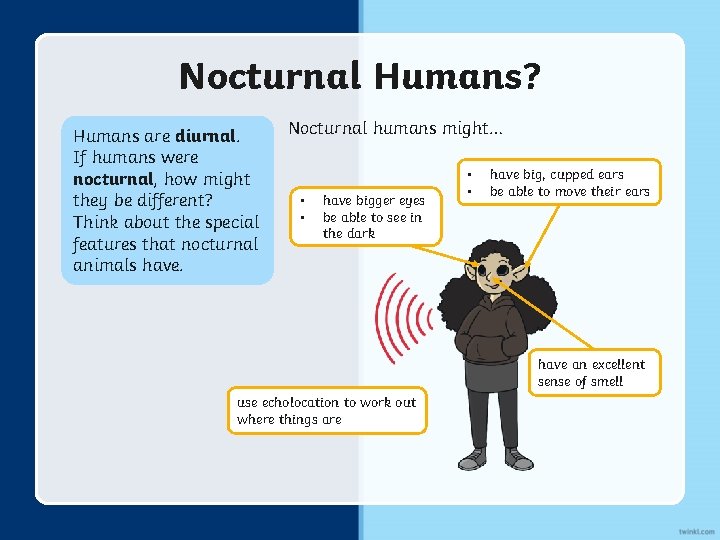 Nocturnal Humans? Humans are diurnal. If humans were nocturnal, how might they be different?