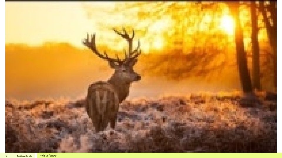 2 12/14/2021 Add a footer 