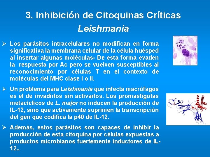 3. Inhibición de Citoquinas Críticas Leishmania Ø Los parásitos intracelulares no modifican en forma