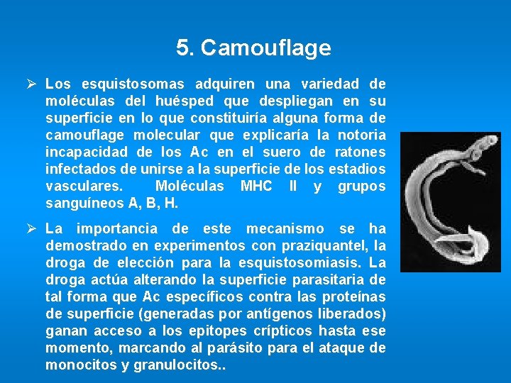 5. Camouflage Ø Los esquistosomas adquiren una variedad de moléculas del huésped que despliegan