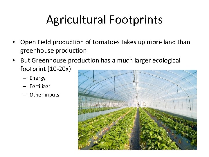 Agricultural Footprints • Open Field production of tomatoes takes up more land than greenhouse