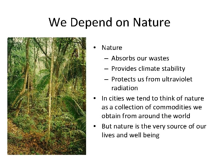 We Depend on Nature • Nature – Absorbs our wastes – Provides climate stability