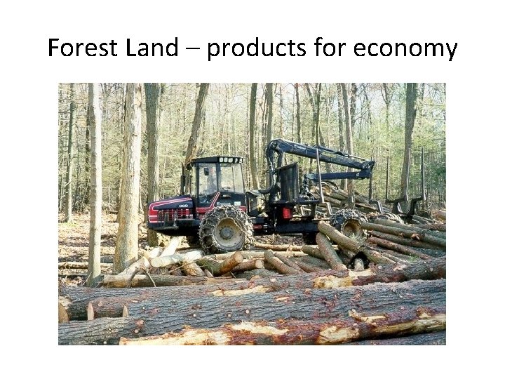 Forest Land – products for economy 