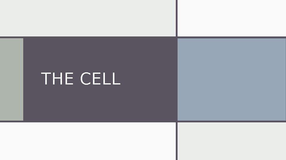 THE CELL 