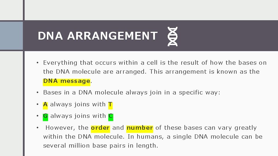 DNA ARRANGEMENT • Everything that occurs within a cell is the result of how