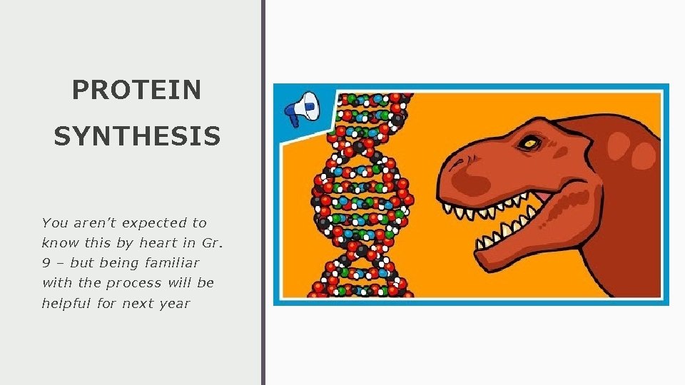 PROTEIN SYNTHESIS You aren’t expected to know this by heart in Gr. 9 –