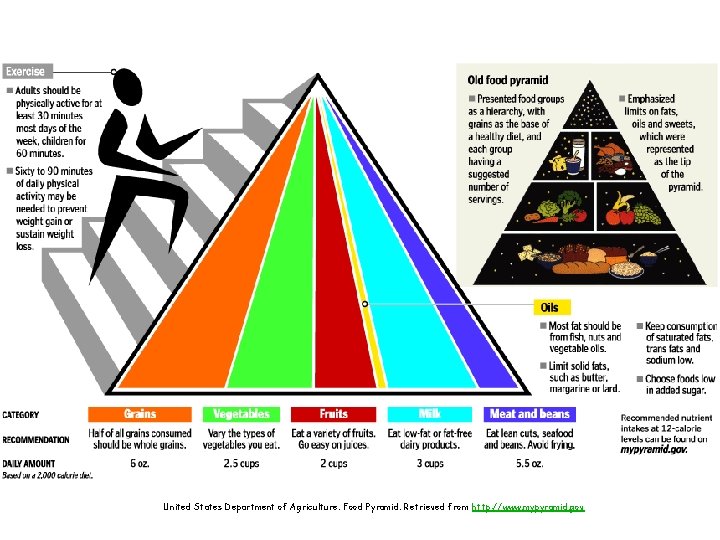 United States Department of Agriculture. Food Pyramid. Retrieved from http: //www. mypyramid. gov 