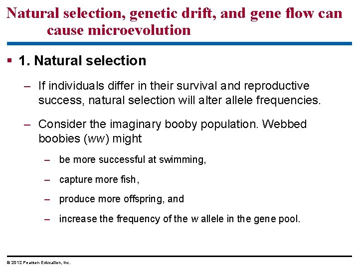 Natural selection, genetic drift, and gene flow can cause microevolution 1. Natural selection –