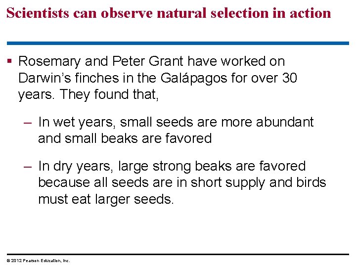 Scientists can observe natural selection in action Rosemary and Peter Grant have worked on