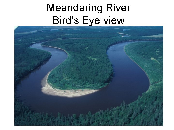 Meandering River Bird’s Eye view 