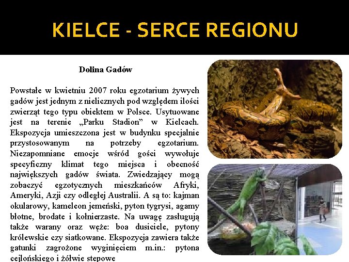 KIELCE - SERCE REGIONU Dolina Gadów Powstałe w kwietniu 2007 roku egzotarium żywych gadów
