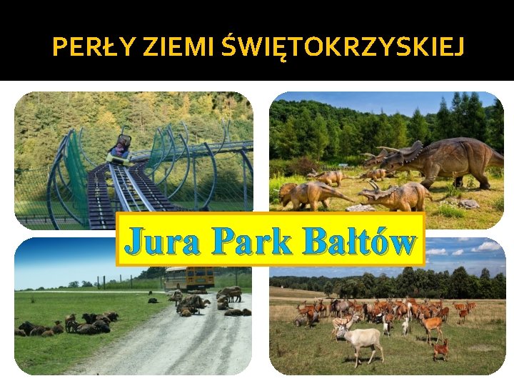 PERŁY ZIEMI ŚWIĘTOKRZYSKIEJ Jura Park Bałtów 