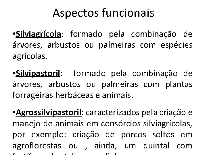 Aspectos funcionais • Silviagrícola: formado pela combinação de árvores, arbustos ou palmeiras com espécies