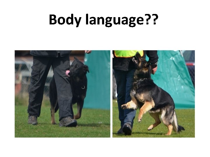 Body language? ? 
