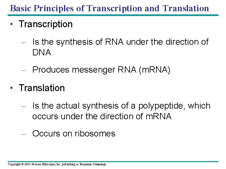 Basic Principles of Transcription and Translation • Transcription – Is the synthesis of RNA