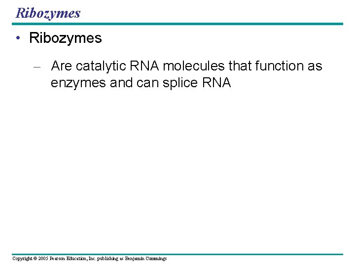 Ribozymes • Ribozymes – Are catalytic RNA molecules that function as enzymes and can