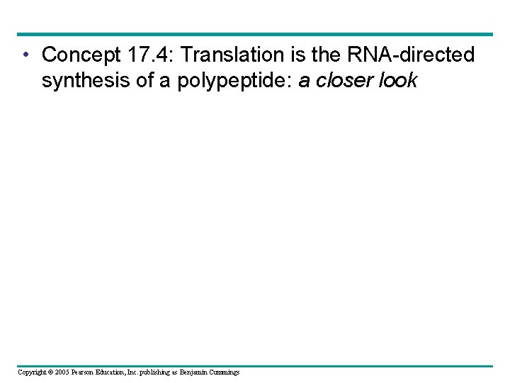  • Concept 17. 4: Translation is the RNA-directed synthesis of a polypeptide: a