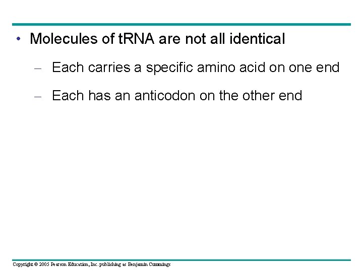  • Molecules of t. RNA are not all identical – Each carries a